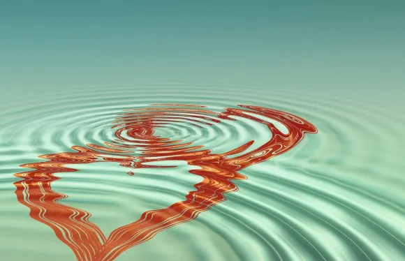 بيت كوكو كازينو الدعم